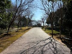 -盘龙城国家考古遗址公园