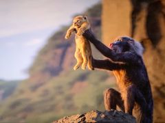 -博纳UA影城(KK Mall IMAX店)