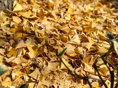 -苏州河梦清园环保主题公园