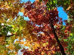 -国家植物园南园