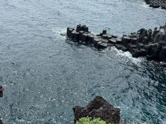 -西归浦每天偶来市场