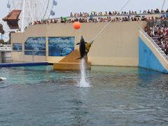 -秦皇岛乐岛海洋王国