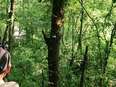 -溪口-滕头旅游景区