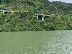 -后柳水乡
