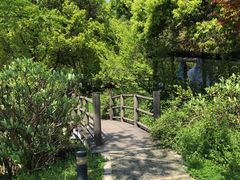 -苏州上方山国家森林公园