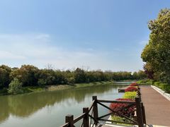 -上海海湾国家森林公园