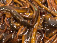 -大鹏饭店·金陵家宴(奥体中心店)