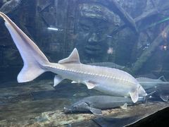 -梦幻海洋王国(吾悦广场张家港店)