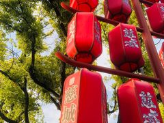 -慈城古县城景区