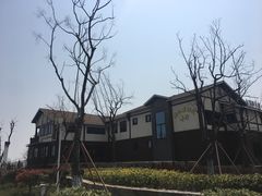 -新木器时代餐厅(太湖新天地店)