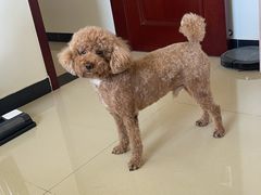 -北京恒爱动物医院(清景园分院)