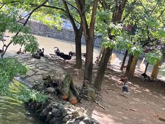 -黔灵山公园