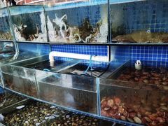水产区-蟹谢蒸鲜自助餐厅