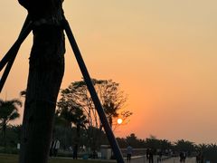 -天空花园餐吧·生日·团建(南山店)