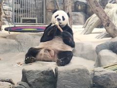 -武汉动物园