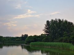 -大兴滨河森林公园