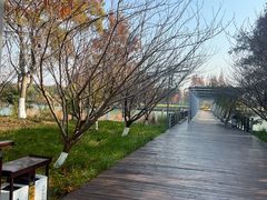 -阳澄湖费尔蒙酒店