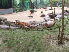 -北京野生动物园