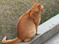 -南门涮肉(上海一店)