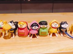 -柴务处·柴犬主题狗咖