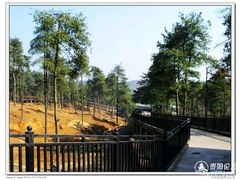 -贵州森林野生动物园