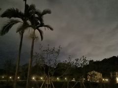 -福建鲤鱼洲酒店