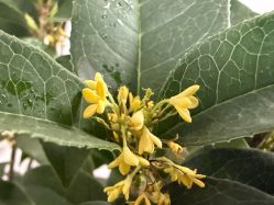 -昊天假日酒店·宴会厅