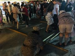 -三亚红色娘子军演艺公园景区