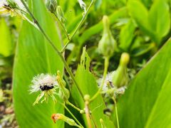 -聂荣臻元帅故居