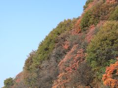 -秦岭终南山世界地质公园翠华山景区