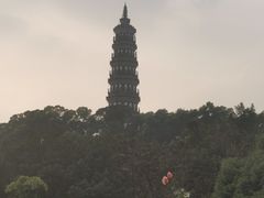 -顺峰山公园