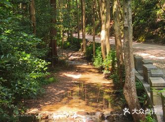 杭州攻略｜九溪十八涧｜玩水好去处