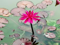 -国家植物园南园