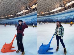 -世界之窗阿尔卑斯冰雪世界