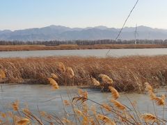 -野鸭湖国家湿地公园