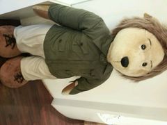 android_upload_pic-济州岛泰迪熊博物馆