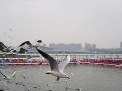 -蠡湖大桥公园