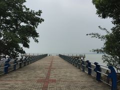 -巢湖姥山岛