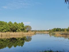 -贡湖湾湿地公园