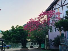 -东部华侨城
