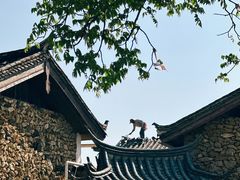 -玉湖村