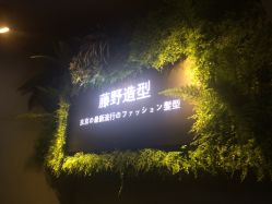 -藤野造型