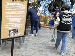-THE CANNERY&JUJU 新鲜海鲜·牛排美食酒廊