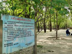 -古塔公园