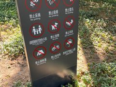 -荔香公园