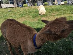 -东方时尚驾校摩托车考试场