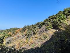 -金龙寺国家森林公园