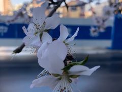 -乌鲁木齐市第二十三中学