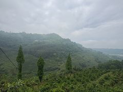 -樱桃山旅游景区