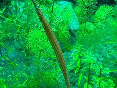 -上海海洋水族馆